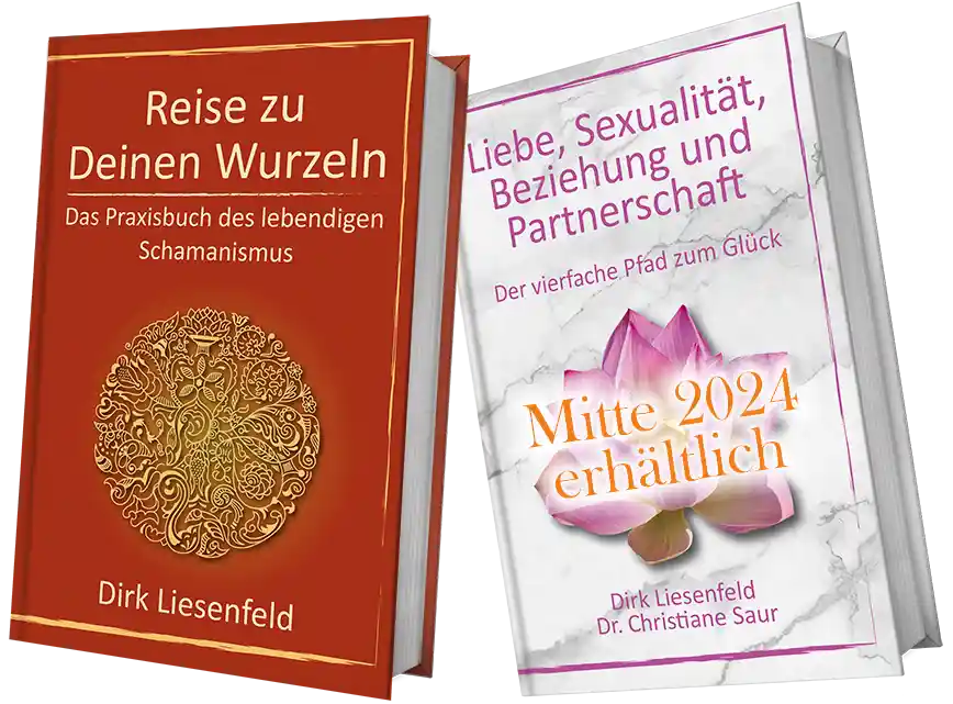 Bücher von Dirk Liesenfeld