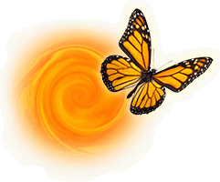 Seminare von Dirk Liesenfeld - Tantra Seminare in Berlin und Brandenburg Dirk Liesenfeld - Tantra Seminare in Berlin